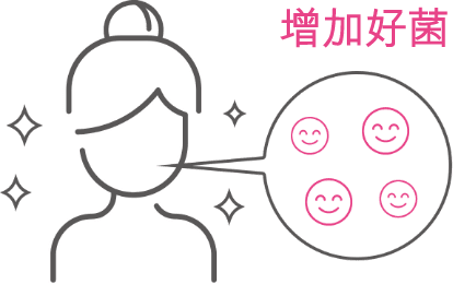 美肌菌：増