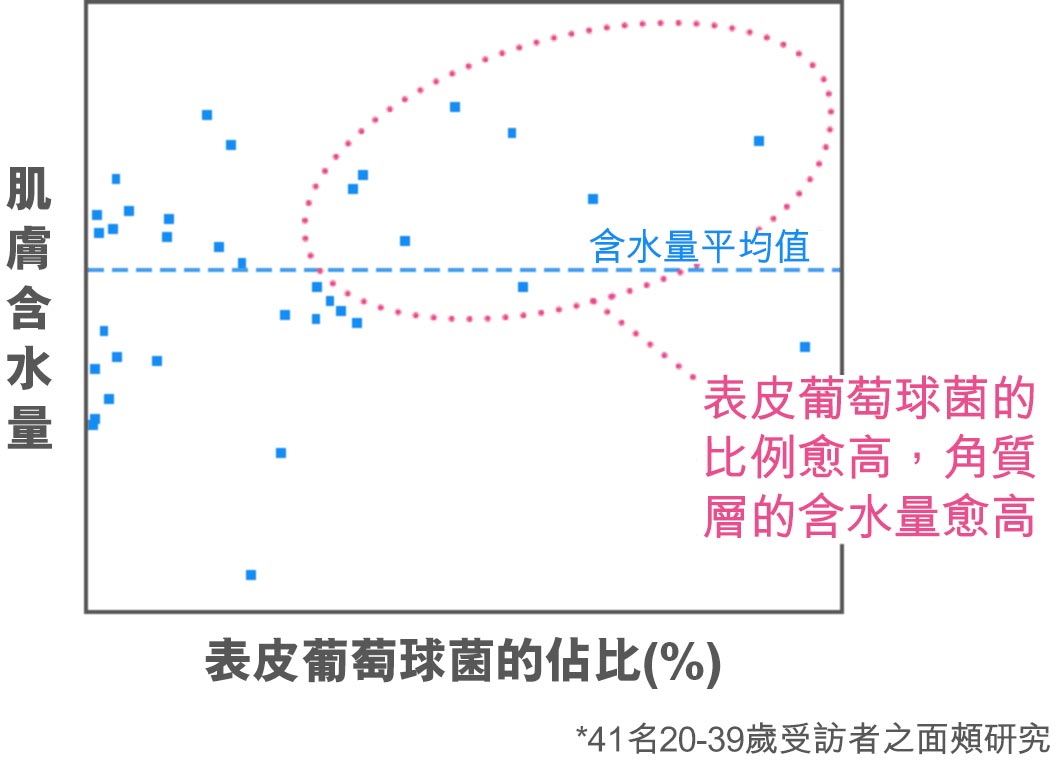 表皮葡萄球菌的比例愈高,角質層的含水量愈高